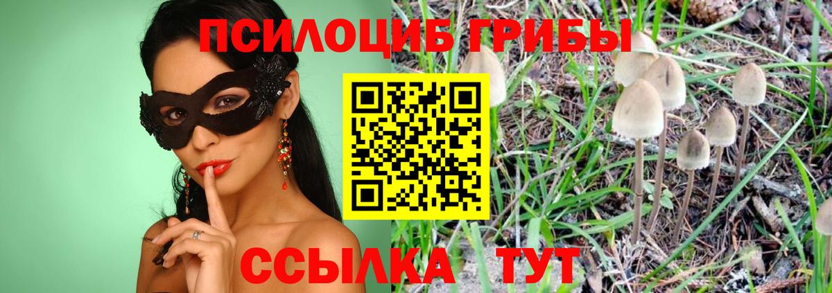 Галлюциногенные грибы GOLDEN TEACHER  Псилоцибиновые грибы прущие грибы  Усинск  Вход с VPN 